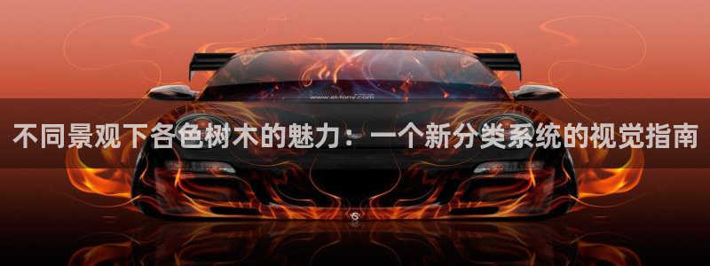 卧龙娱乐彩票中奖