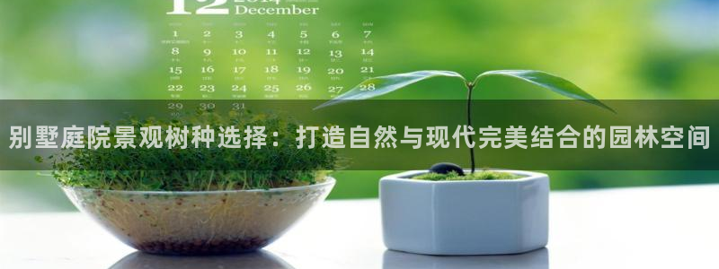 卧龙娱乐396667