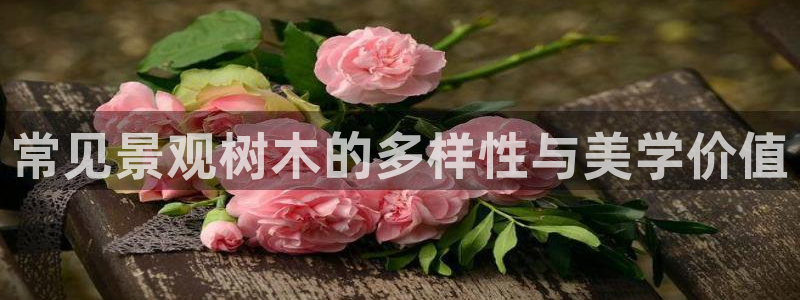 卧龙娱乐是什么意思