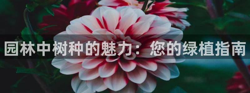 卧龙峡水上娱乐