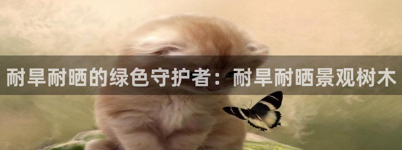 卧龙娱乐左7O667