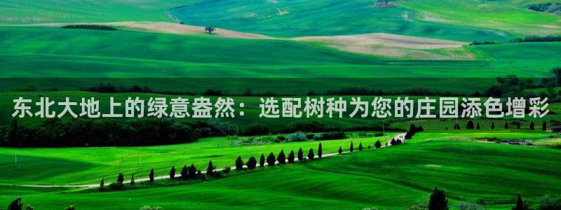 卧龙娱乐app彩票下载