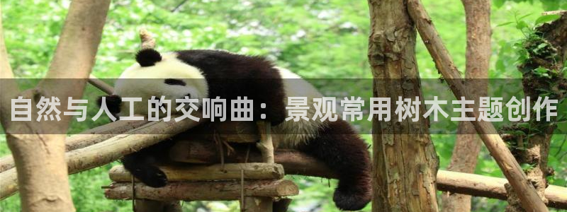 郑州卧龙娱乐设备