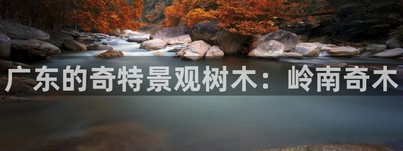 卧龙娱乐代理：广东的奇特景观树木：岭南奇木