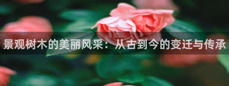 卧龙娱乐APP：景观树木的美丽风采：从古到今的变迁与传承