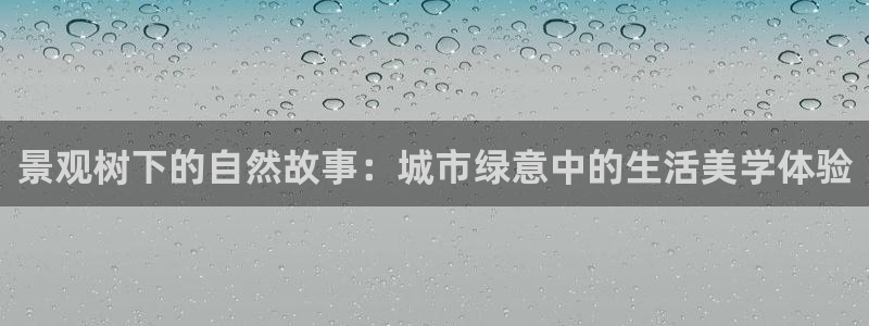 SKY娱乐卧龙主管60447
