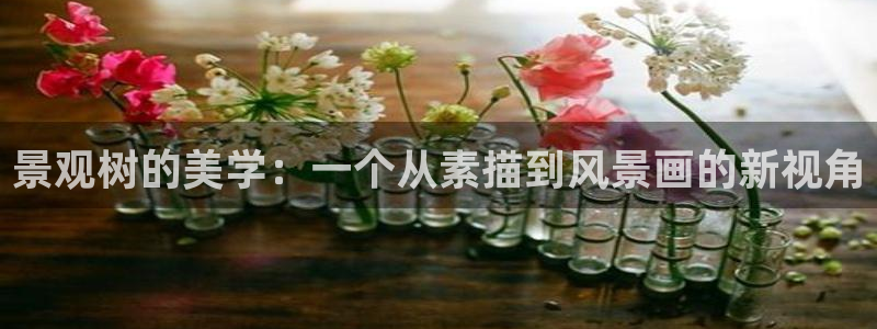 卧龙区娱乐设备