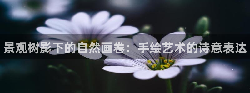 卧龙区娱乐设备