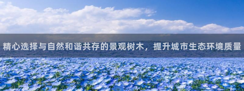 卧龙娱乐场所