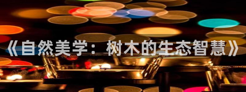 卧龙2神机娱乐代理