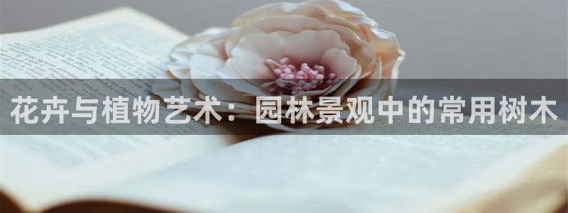 卧龙娱乐app彩票下载