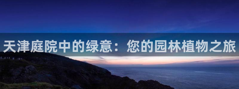 卧龙棋牌娱乐官网