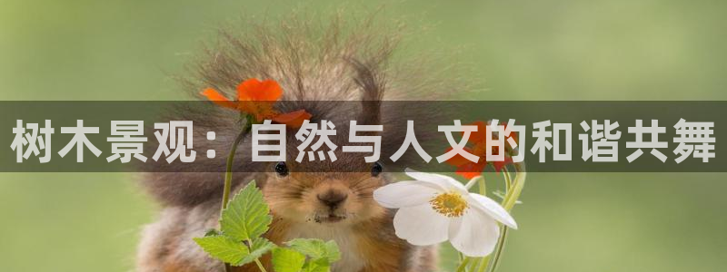 卧龙娱乐在线直播网址：树木景观：自然与人文的和谐共舞