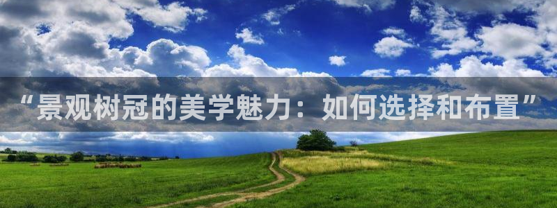 卧龙娱乐若七九九