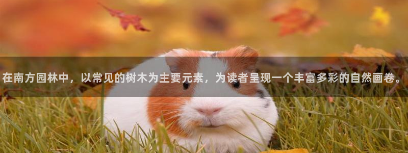 太和卧龙娱乐会所