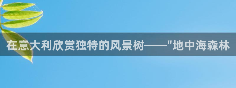大娱乐家卧龙先生