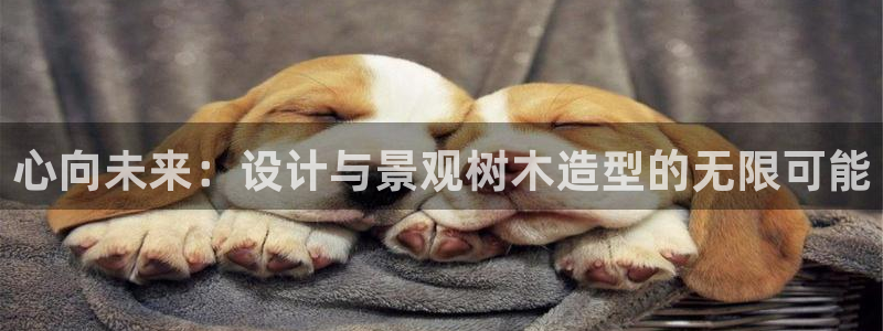 厦门卧龙台球娱乐会所