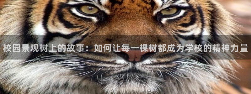 卧龙娱乐前7O667：校园景观树上的故事：如何让每一棵树都成为学校的精神力量