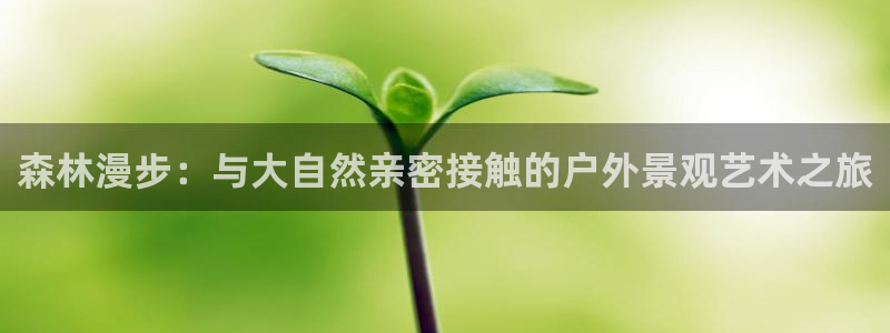 郑州卧龙娱乐王凯旋简历：森林漫步：与大自然亲密接触的户外景观艺术之旅