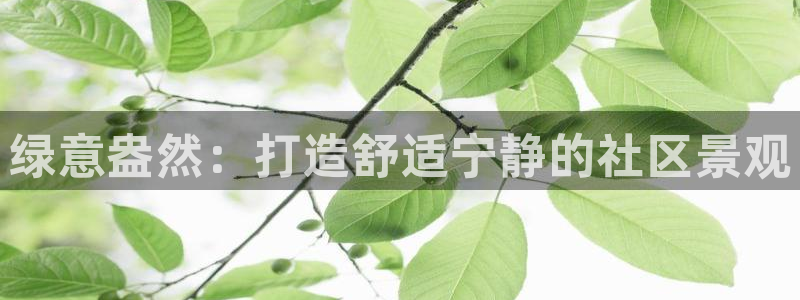 卧龙娱乐总代理电话：绿意盎然：打造舒适宁静的社区景观