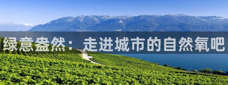 卧龙台球娱乐