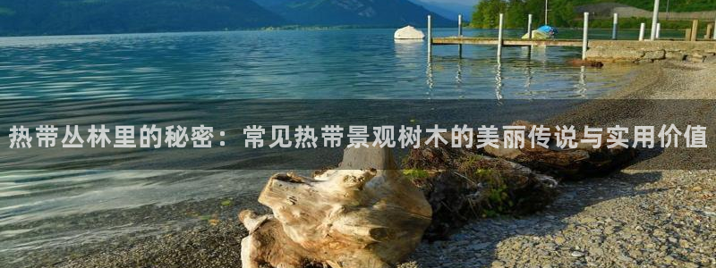卧龙镇休闲娱乐