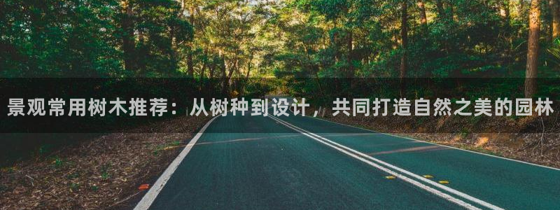 卧龙娱乐后