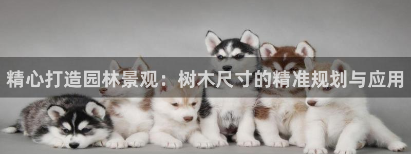 卧龙娱乐彩票官网下载