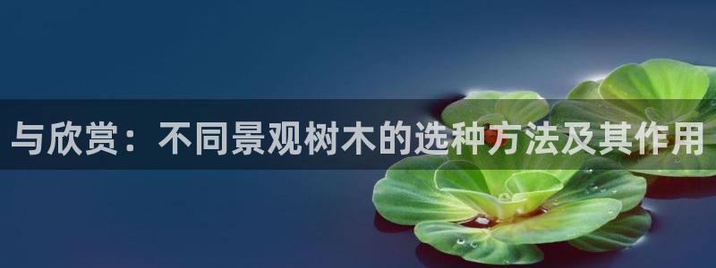 卧龙休闲娱乐推荐