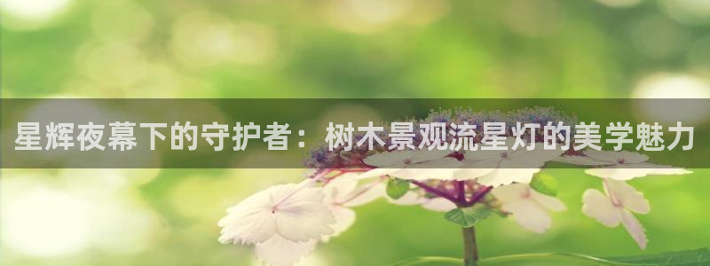 凤凰娱乐ktv卧龙路：星辉夜幕下的守护者：树木景观流星灯的美学魅力
