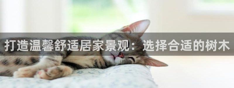 卧龙娱乐彩票中奖