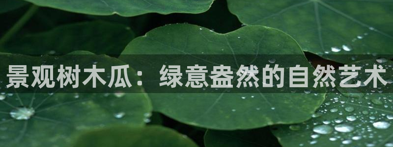 卧龙娱乐彩票中奖