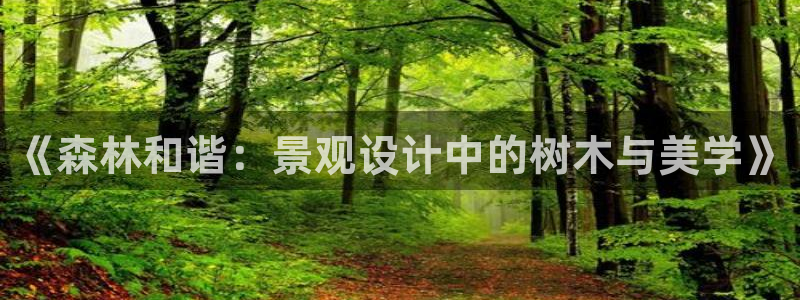 卧龙娱乐平台下载