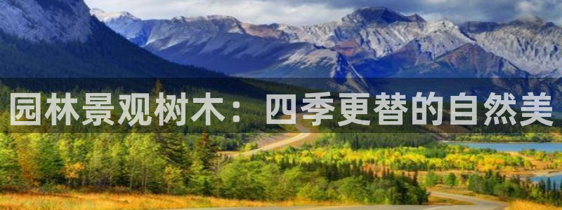 大娱乐家卧龙先生