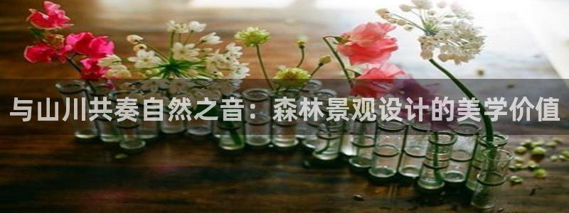 卧龙娱乐APP