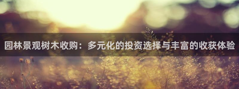 卧龙休闲娱乐人气推荐