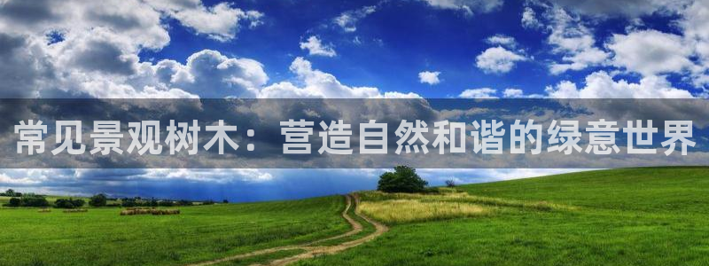 娱乐圈卧龙凤雏