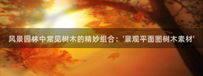 卧龙2娱乐雀711112