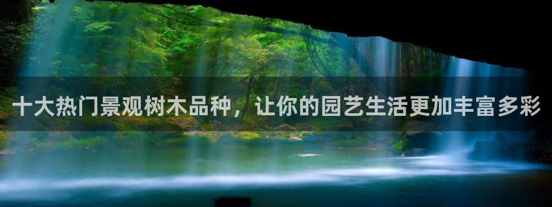 卧龙娱乐975949