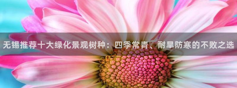 卧龙娱乐在线直播网址：无锡推荐十大绿化景观树种：四季常青、耐旱防寒的不败之选