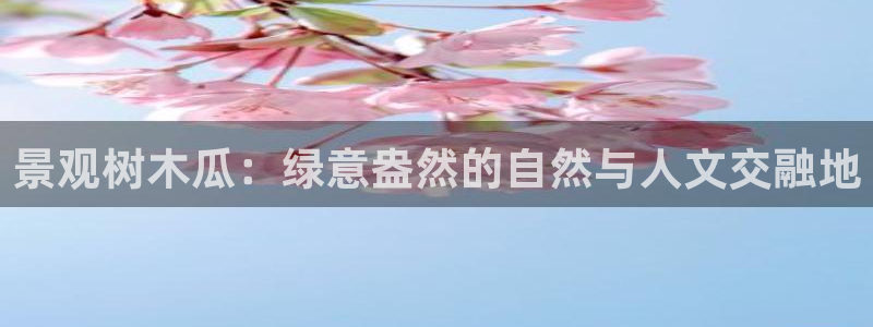 pt娱乐 卧龙招商60447