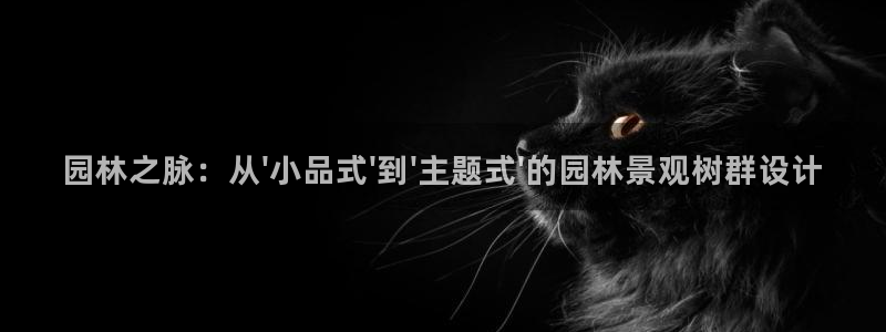 卧龙凤雏娱乐运城