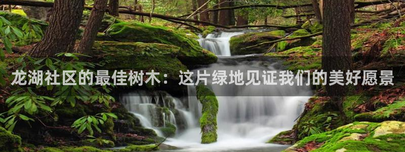 卧龙峡水上娱乐：龙湖社区的最佳树木：这片绿地见证我们的美好愿景