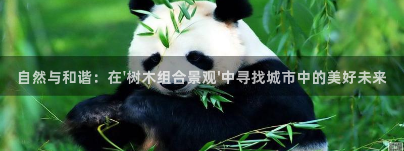 卧龙娱乐975949