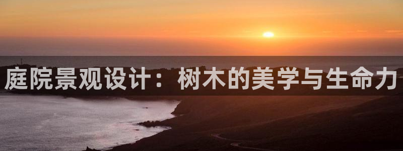 卧龙休闲娱乐收藏榜