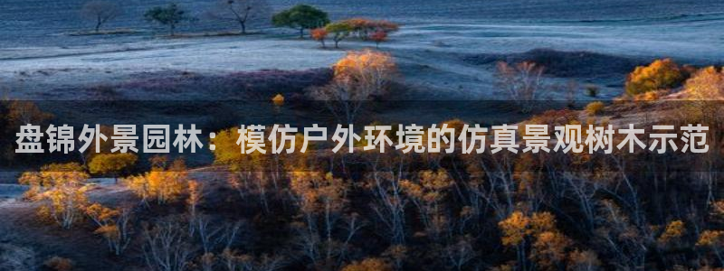 卧龙娱乐招商主管薪资