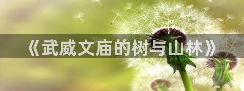 卧龙娱乐老板是谁：《武威文庙的树与山林》