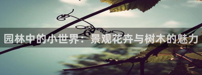 E彩娱乐 卧龙主管60447