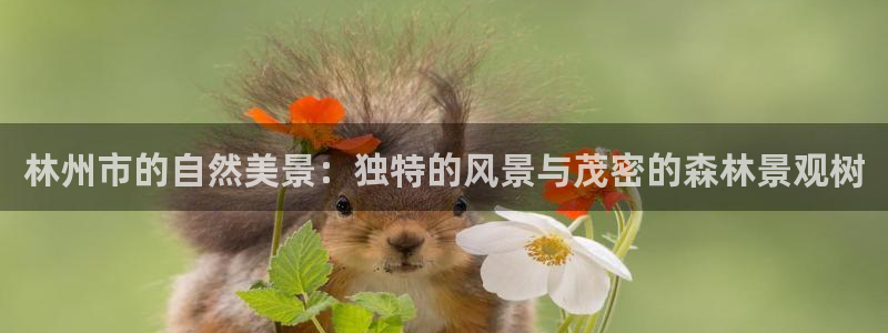卧龙娱乐怎样注册会员：林州市的自然美景：独特的风景与茂密的森林景观树