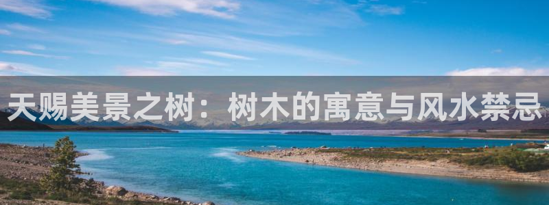 卧龙娱乐怎么样啊